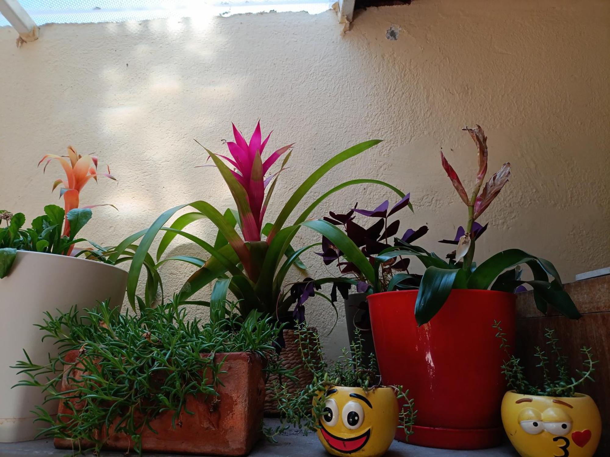 Apartament Antonio Split